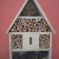 Insektenschutz ist Naturschutz