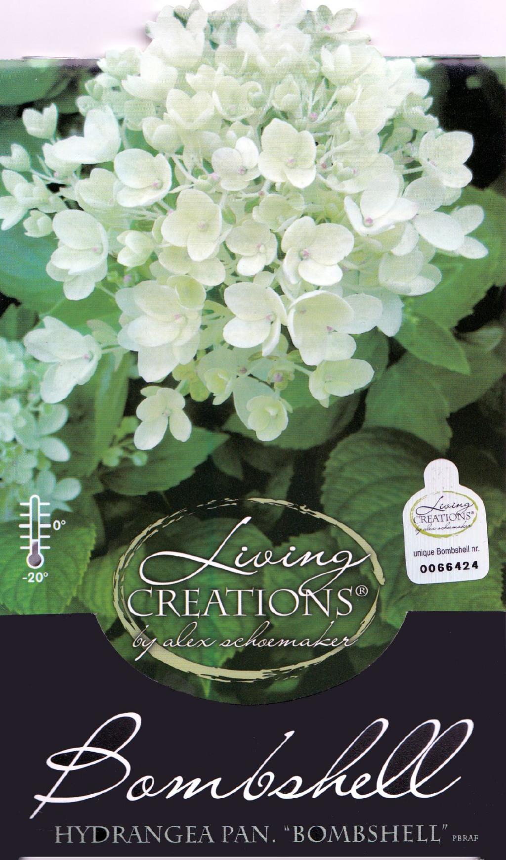 Pflanzen sind Sortenecht!