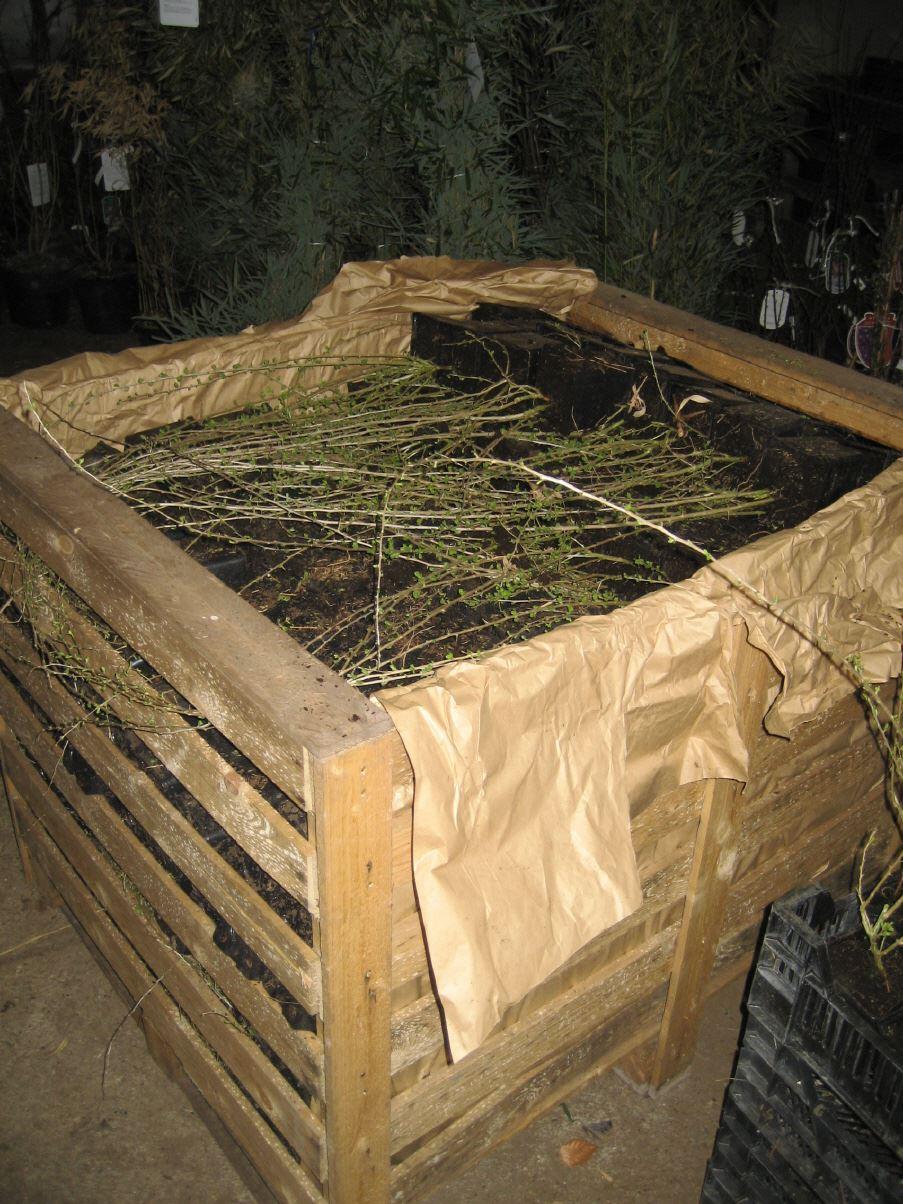 per Palette 500 Stk.